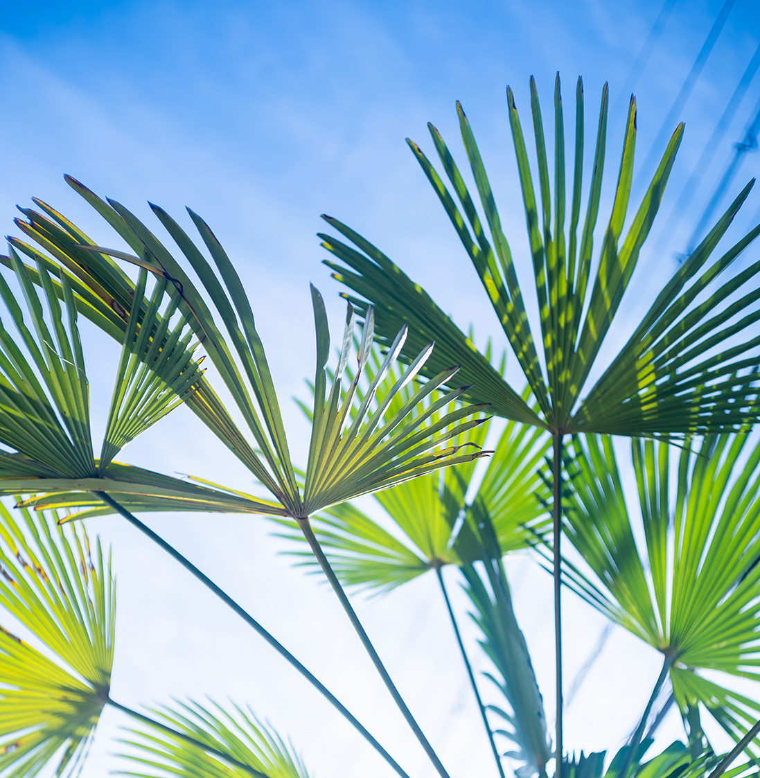 Blog Background